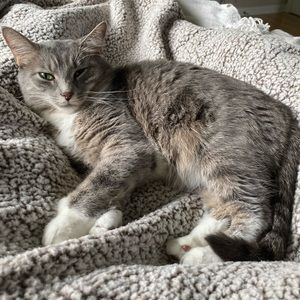 Meet your Posher, Huda